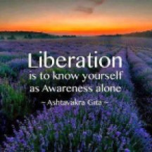 Liberation is